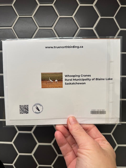 Back of art card with printed text and images on a black tiled background