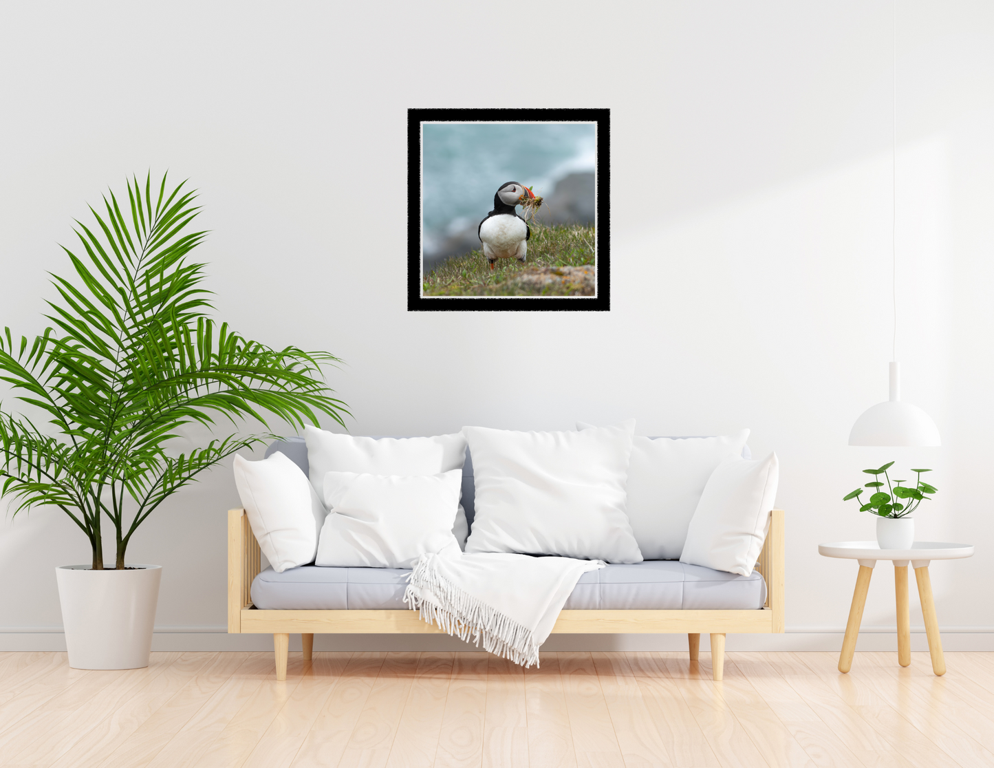 Framed picture of a puffin on a wall above a sofa in a living room.