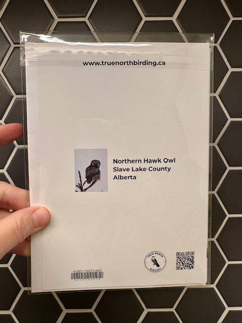 Back of art card with printed text and images on a black tiled background