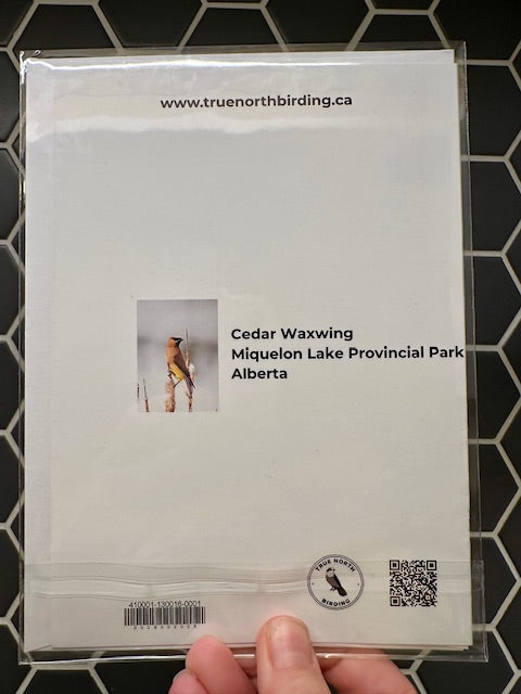 Back of art card with printed text and images on a black tiled background