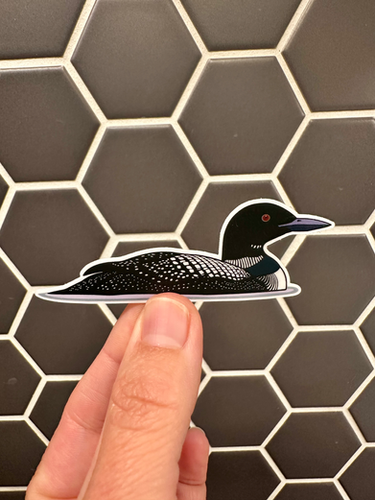 Small vinyl sticker of a Common Loon