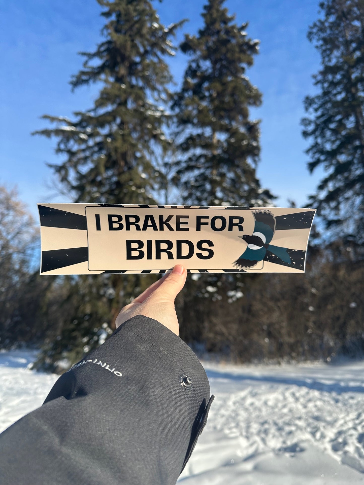 I Brake for Birds Bumper Sticker image 0