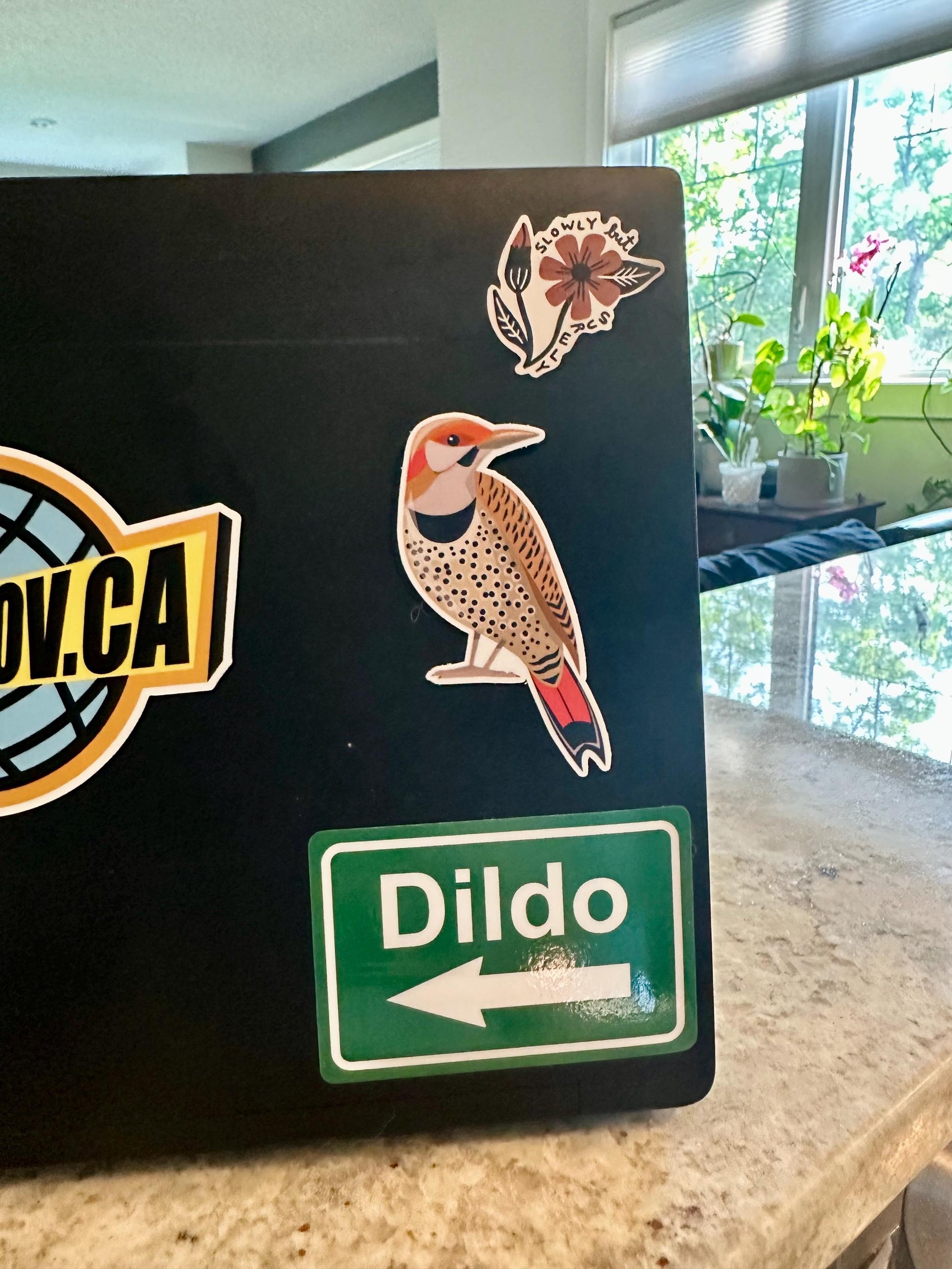 Northern Flicker Sticker image 1