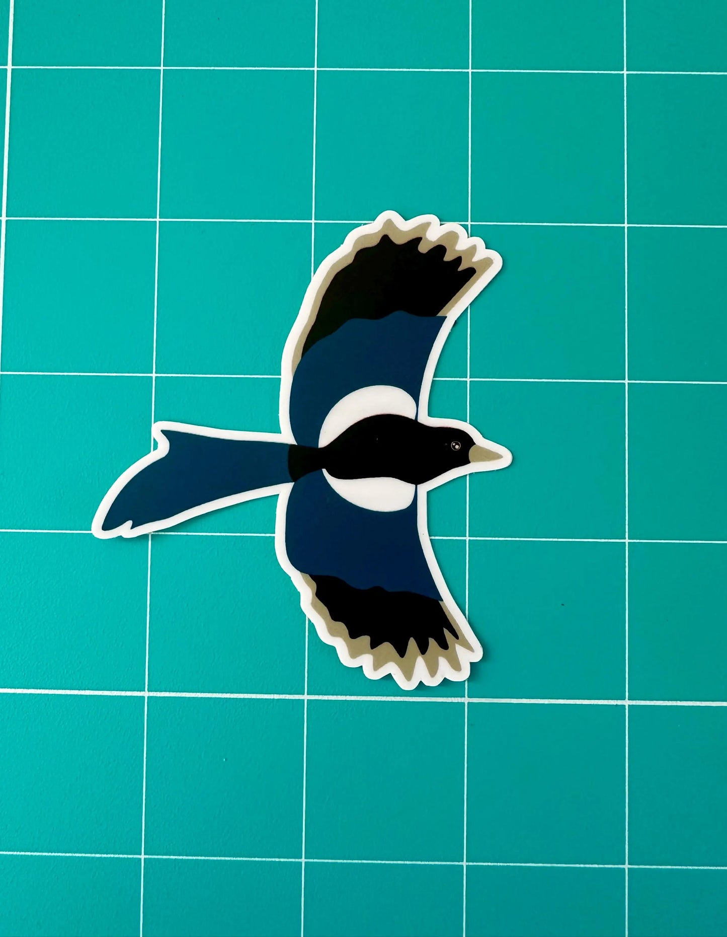 Black-billed Magpie Sticker image 2