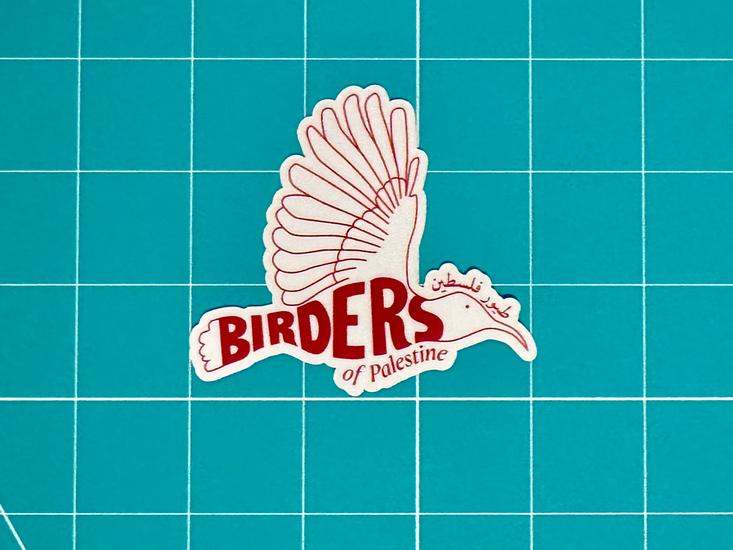 Birders of Palestine: Weatherproof Vinyl Decal