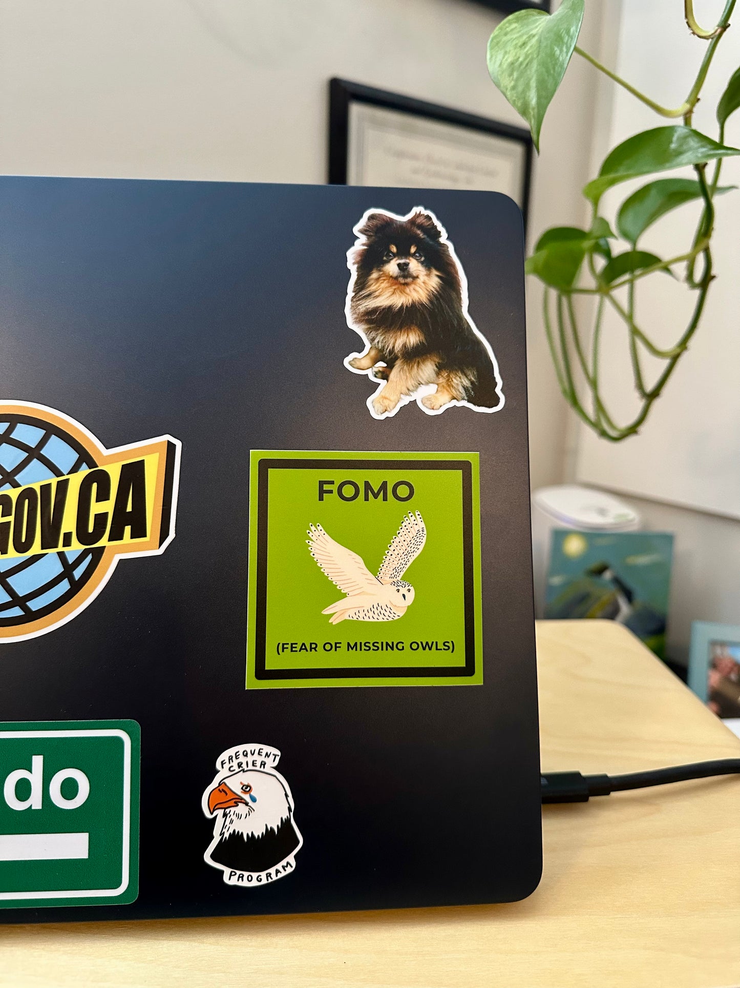 FOMO Sticker | Fear of Missing Owls, Weatherproof Vinyl