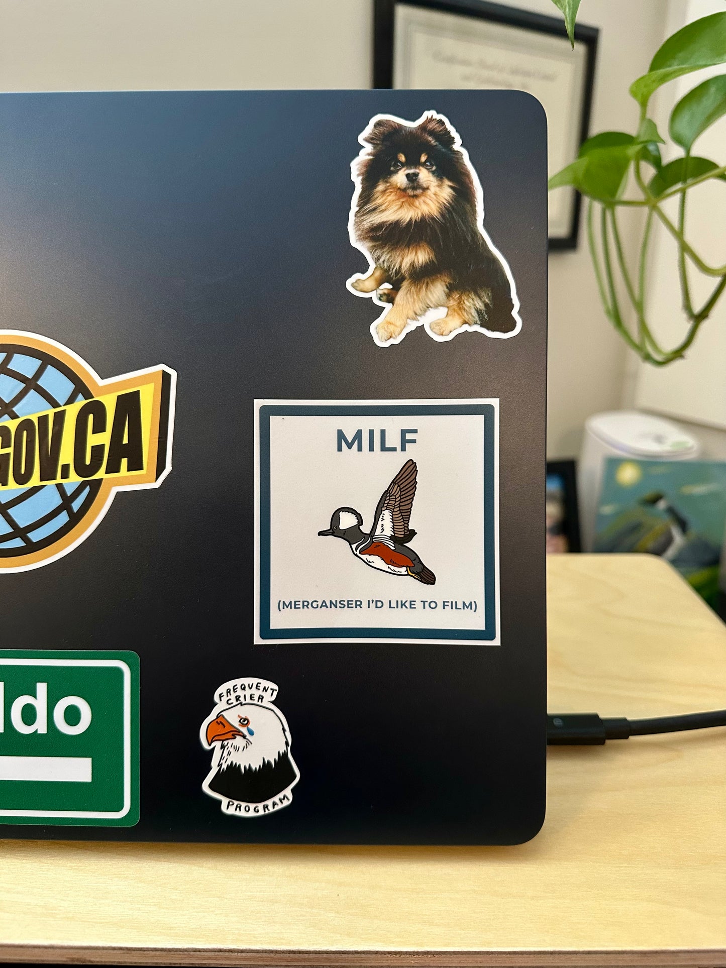MILF Sticker: Merganser I’d Like to Film Laptop Decal