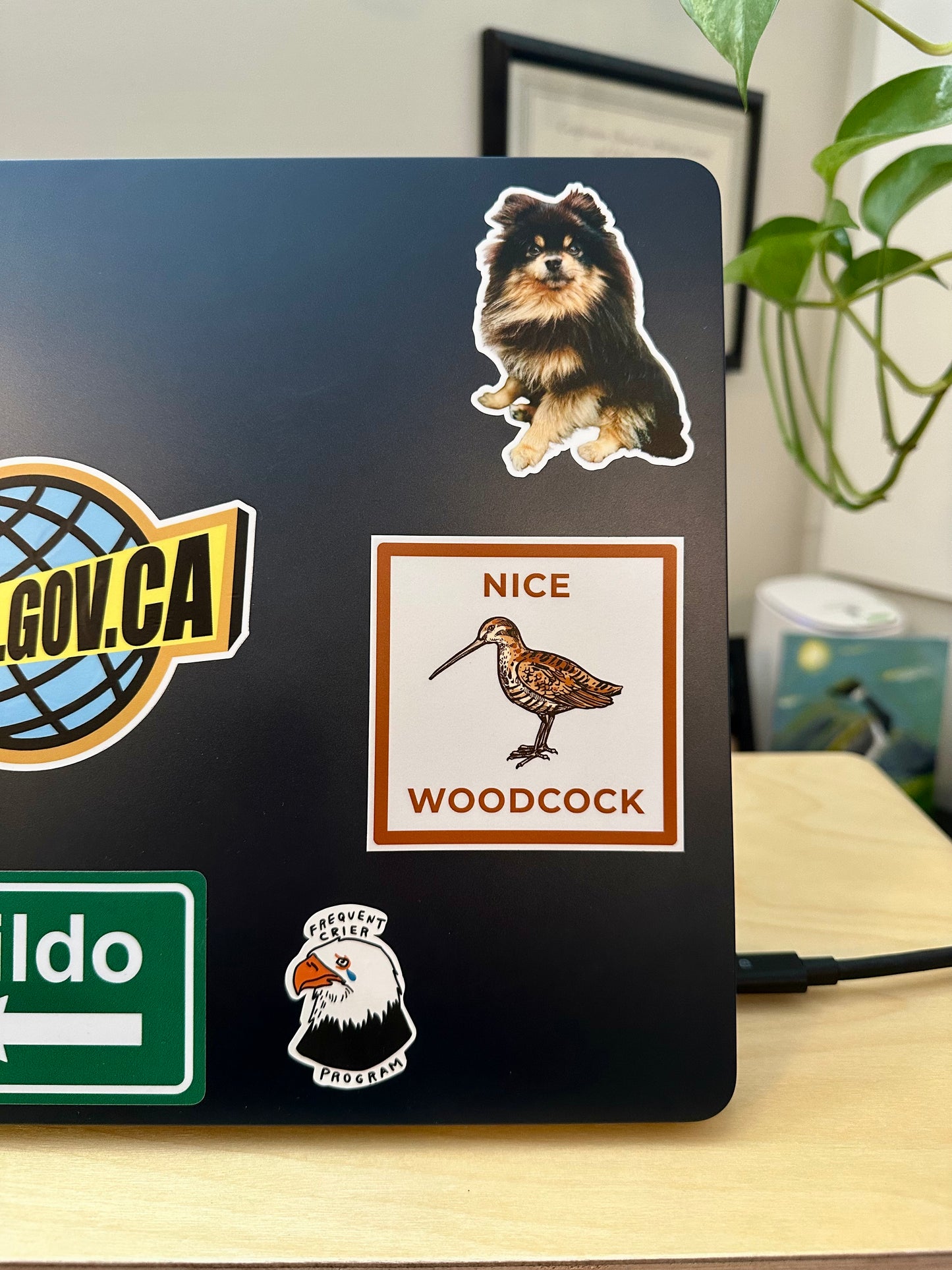 Nice Woodcock Sticker | Weatherproof Vinyl Decal
