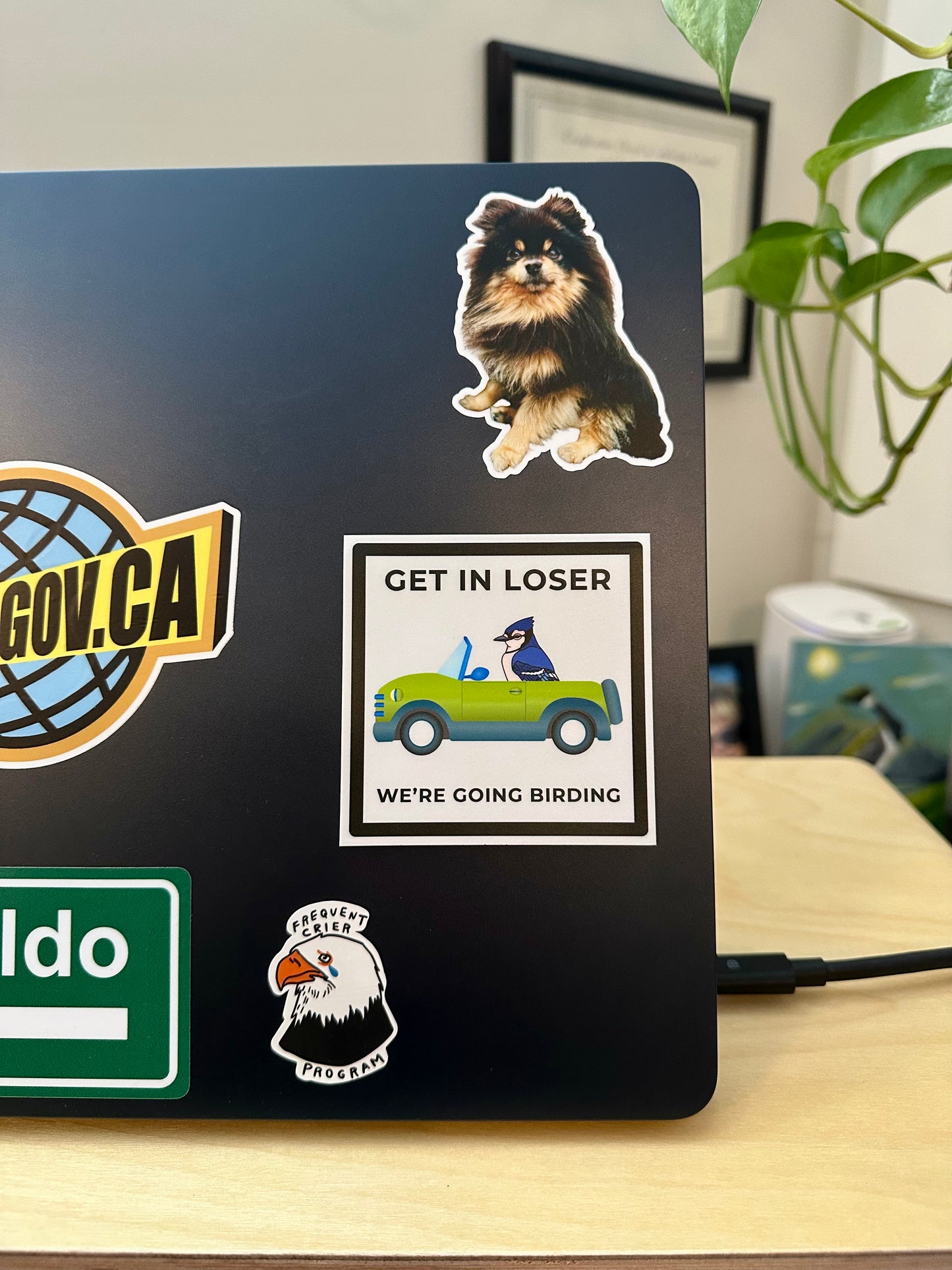 Get In Loser We’re Going Birding Sticker: Waterproof Laptop Decal