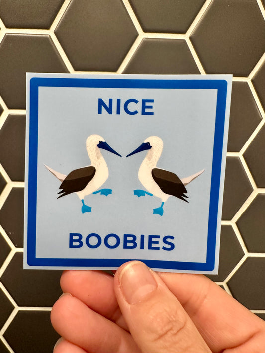Blue-Footed Booby Sticker: Nice Boobies Laptop Decal