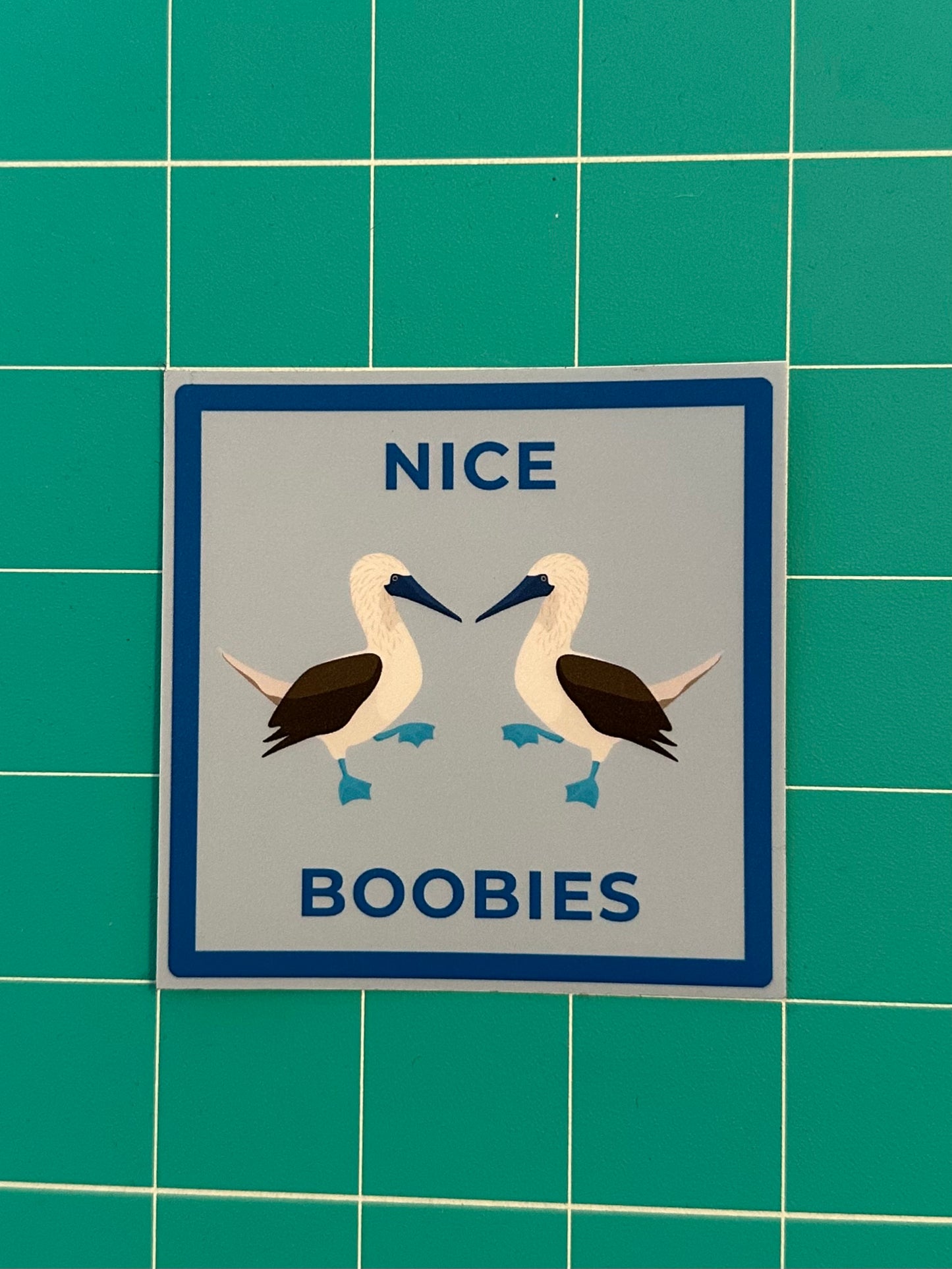 Blue-Footed Booby Sticker: Nice Boobies Laptop Decal