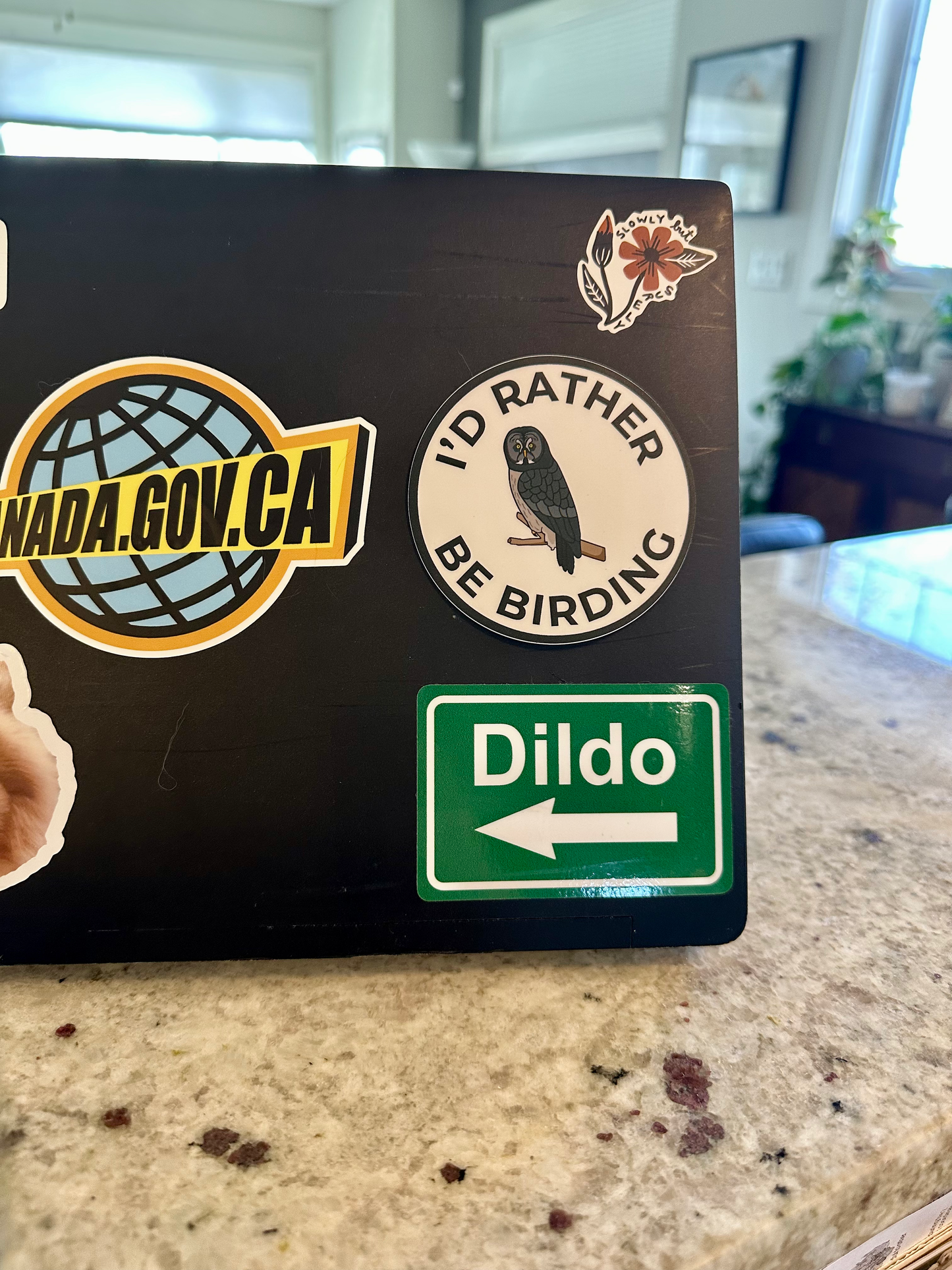 I’d Rather Be Birding Owl Sticker image 2
