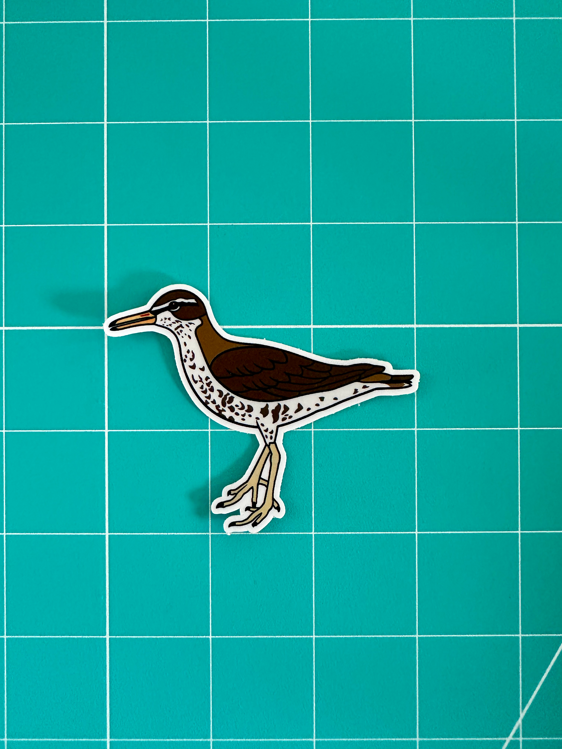 Spotter Sandpiper Sticker image 2