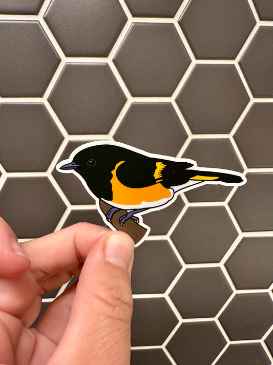American Redstart Sticker image 0