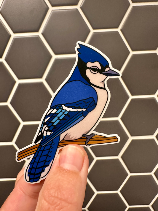 Blue Jay Sticker image 0