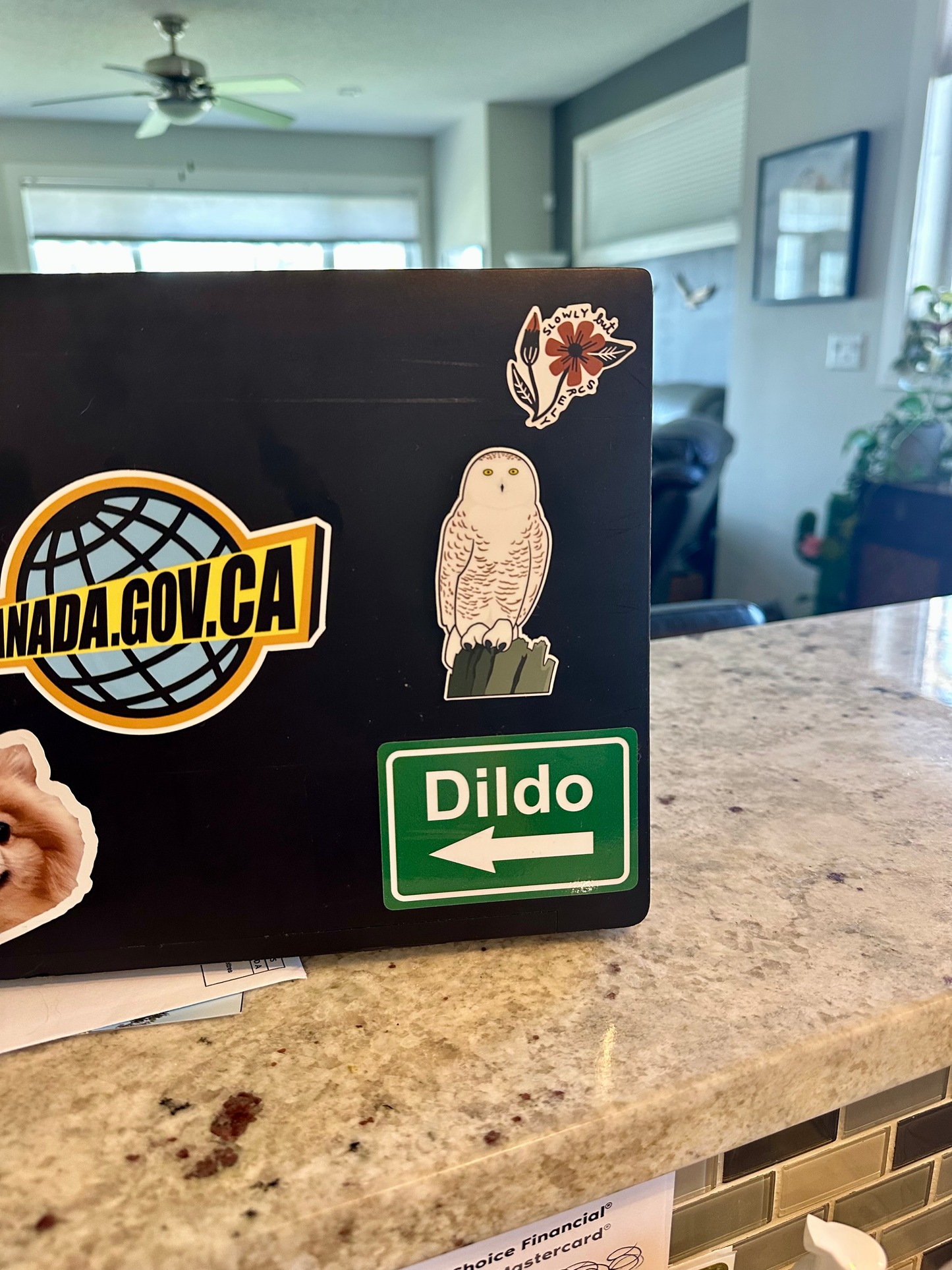 Snowy Owl Sticker image 1