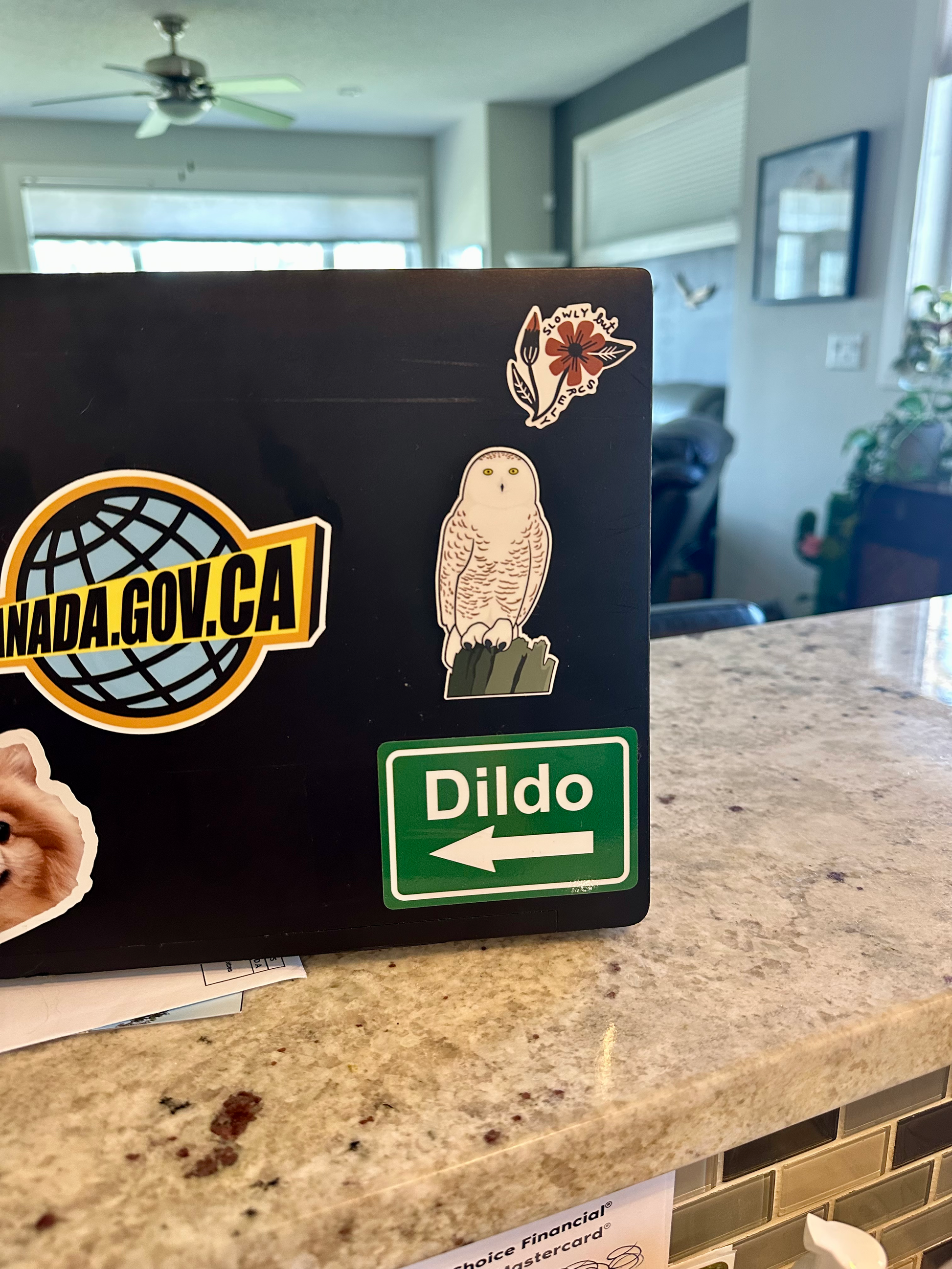 Snowy Owl Sticker image 1