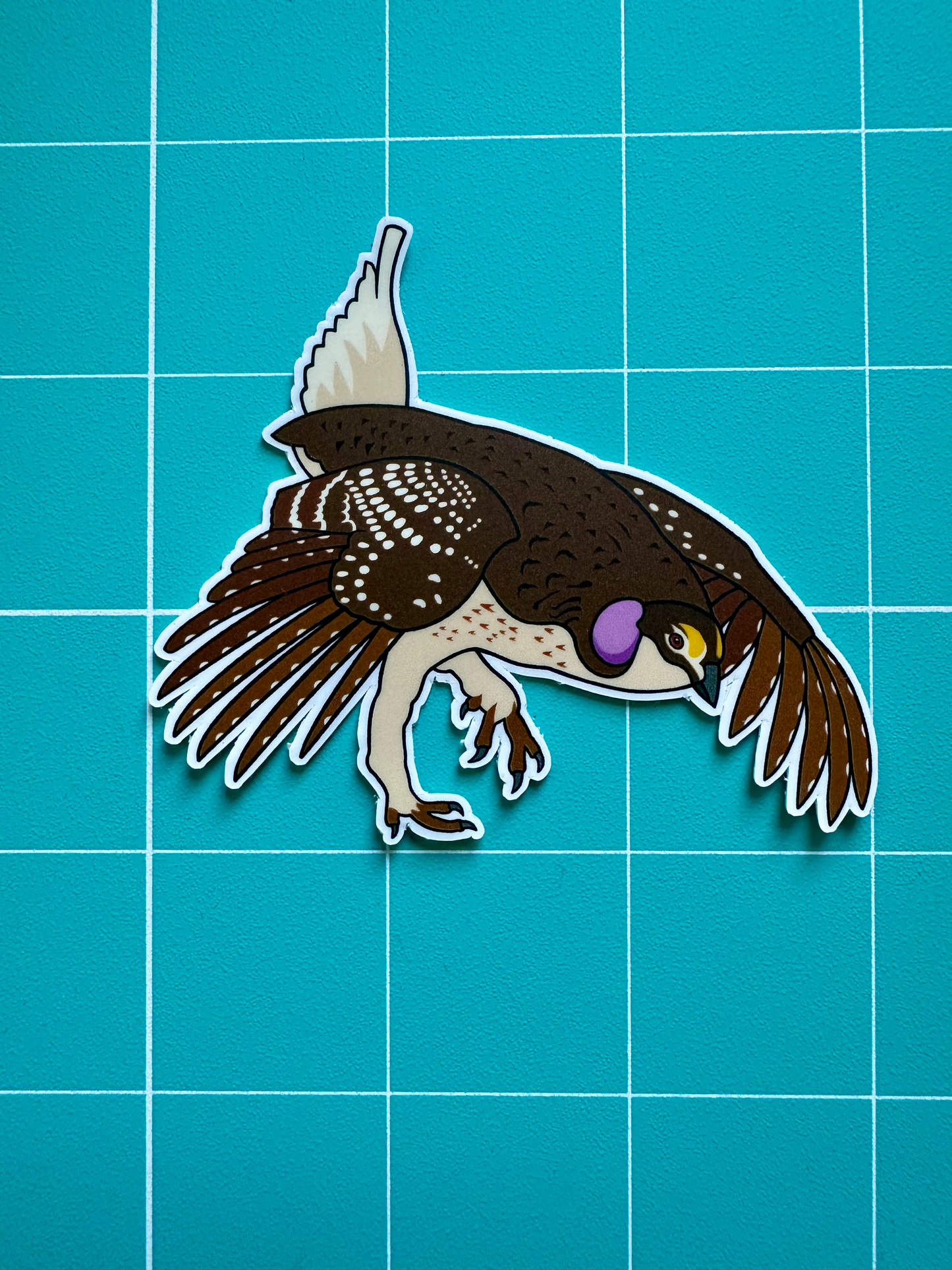 Sharp-tailed Grouse Sticker image 2