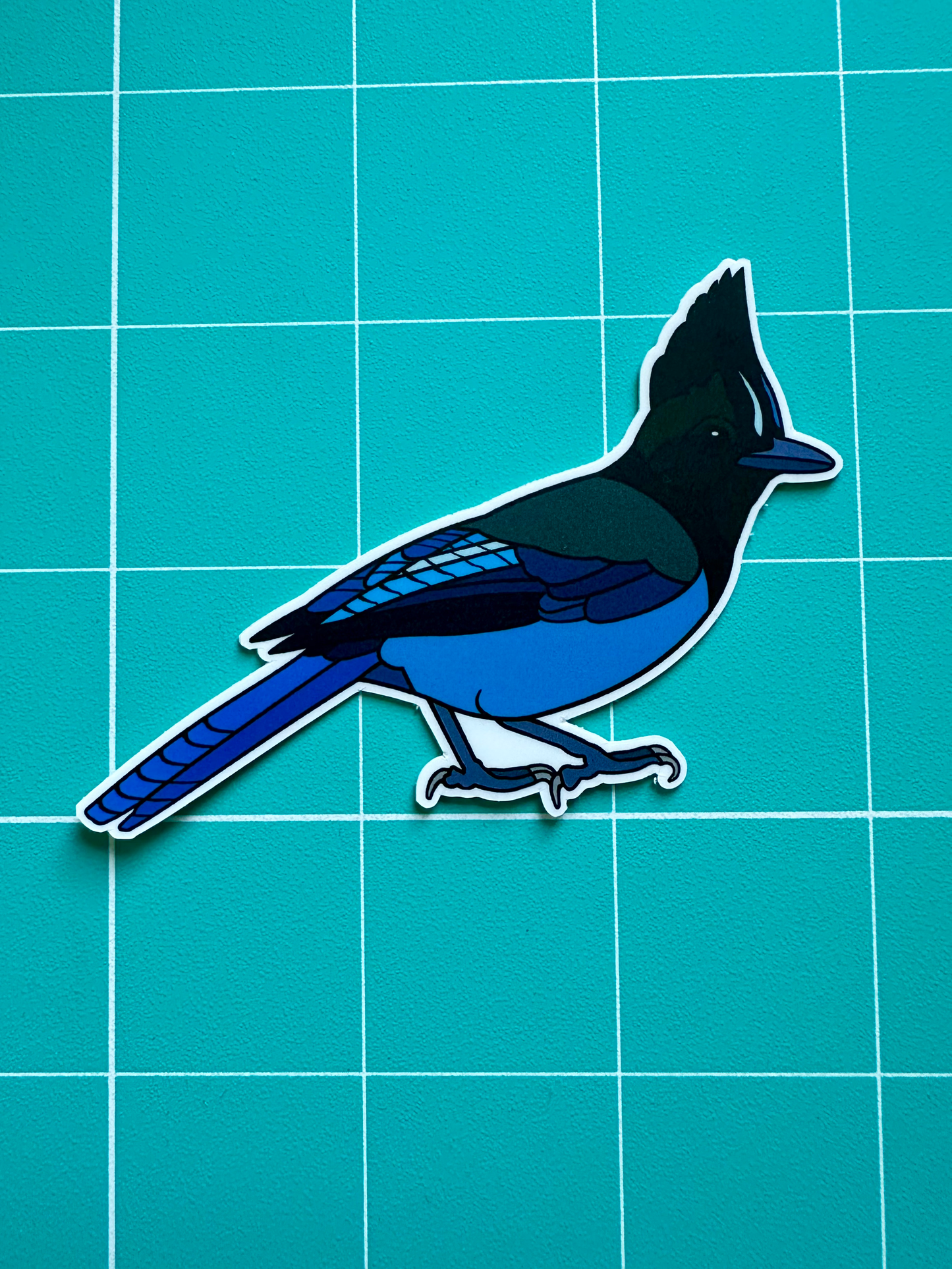 Steller’s Jay Sticker image 2