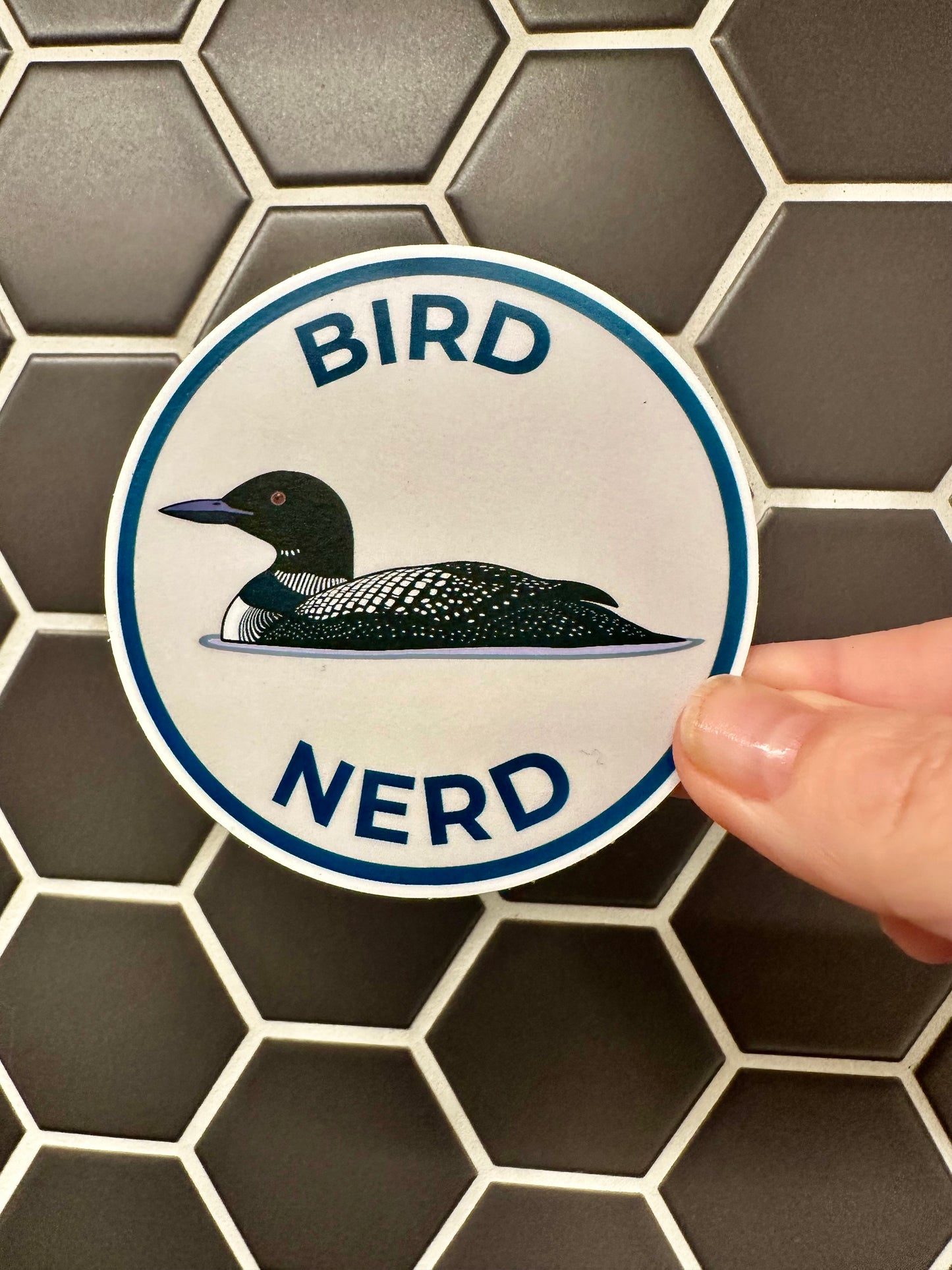 Bird Nerd Sticker - Common Loon Vinyl Decal