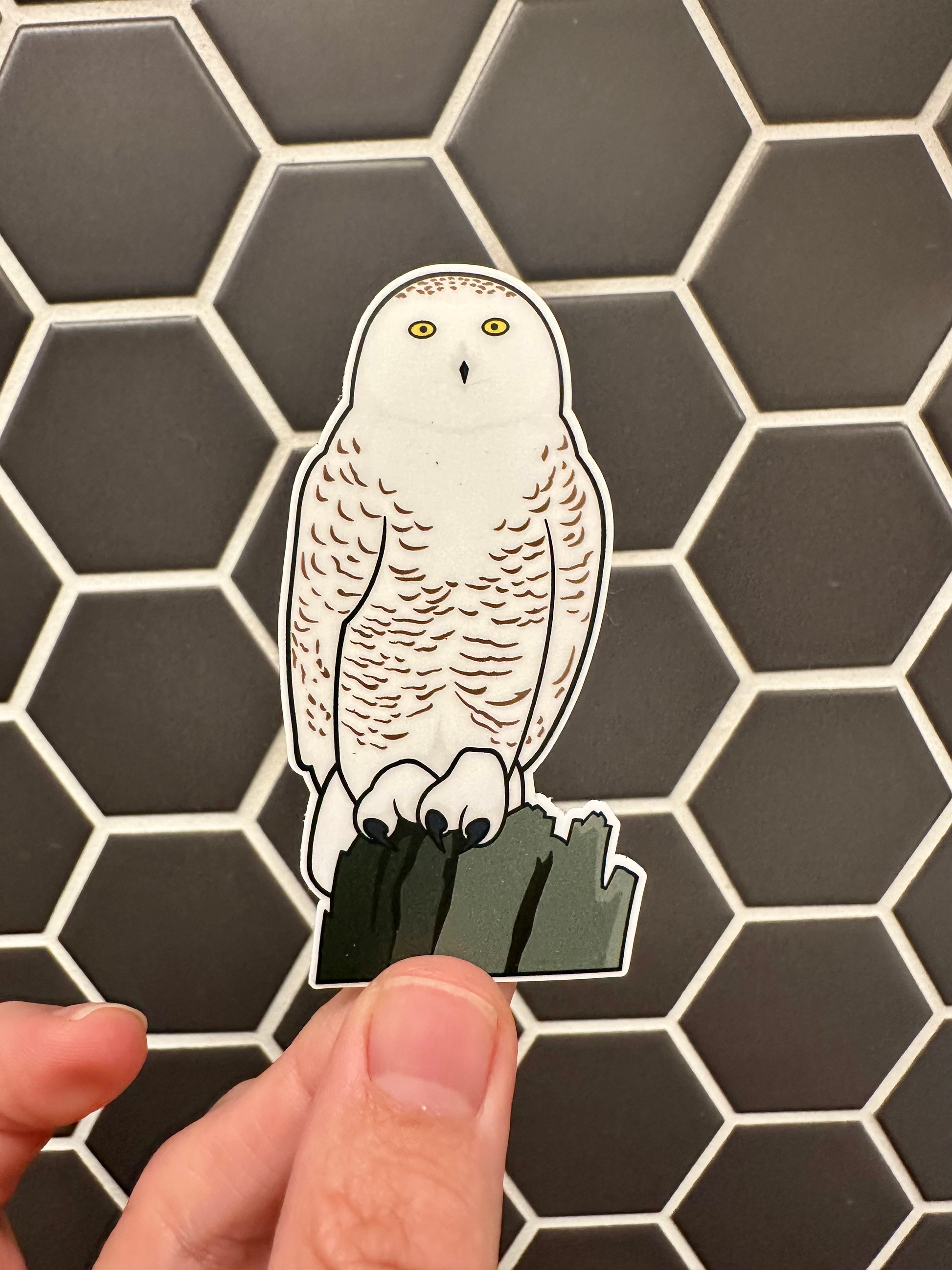 Snowy Owl Sticker image 0