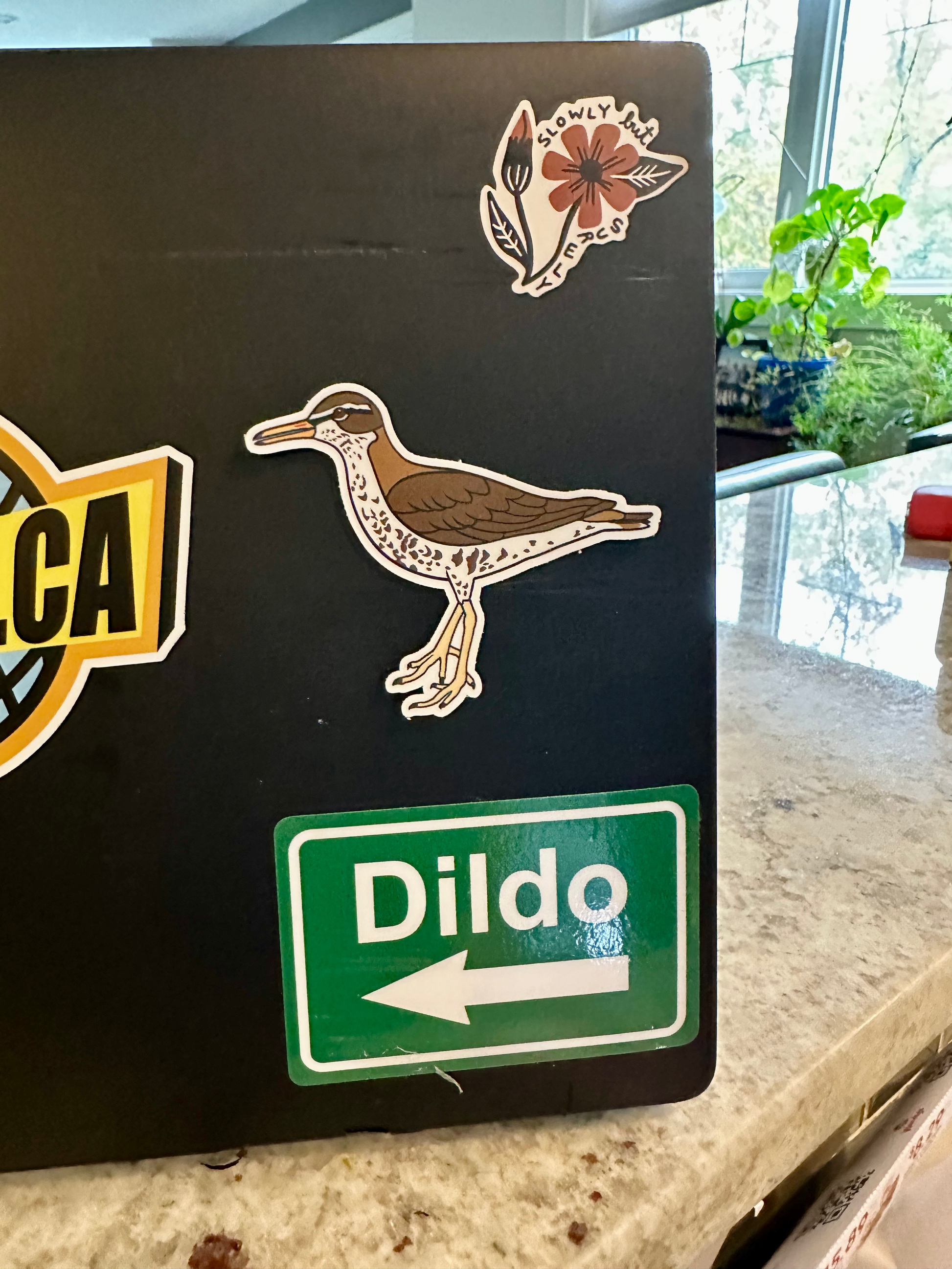 Spotter Sandpiper Sticker image 1