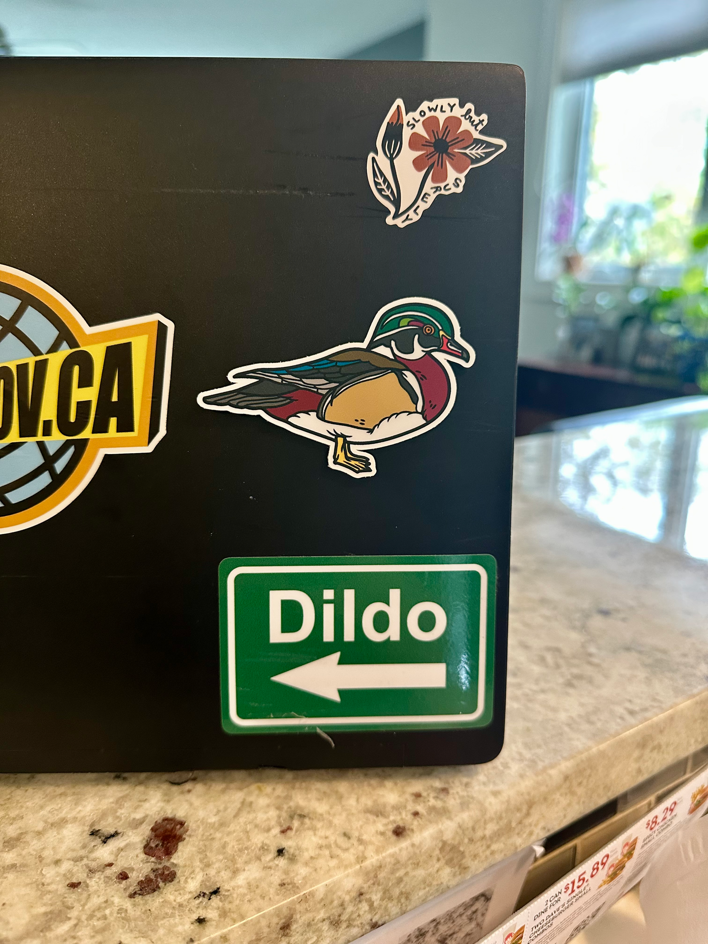 Wood Duck Sticker image 1