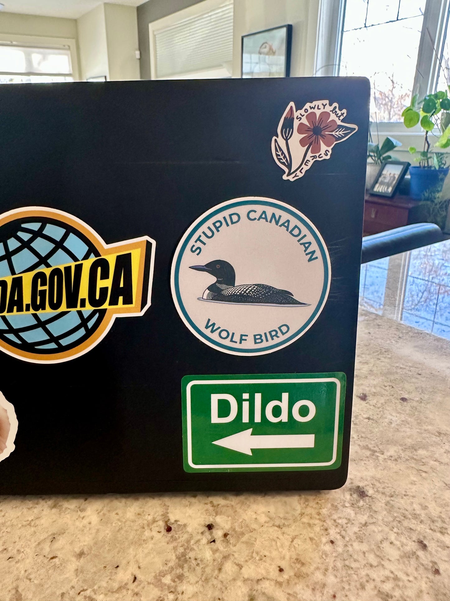 Stupid Canadian Wolf Bird Sticker: Heated Rivalry Weatherproof Vinyl Decal