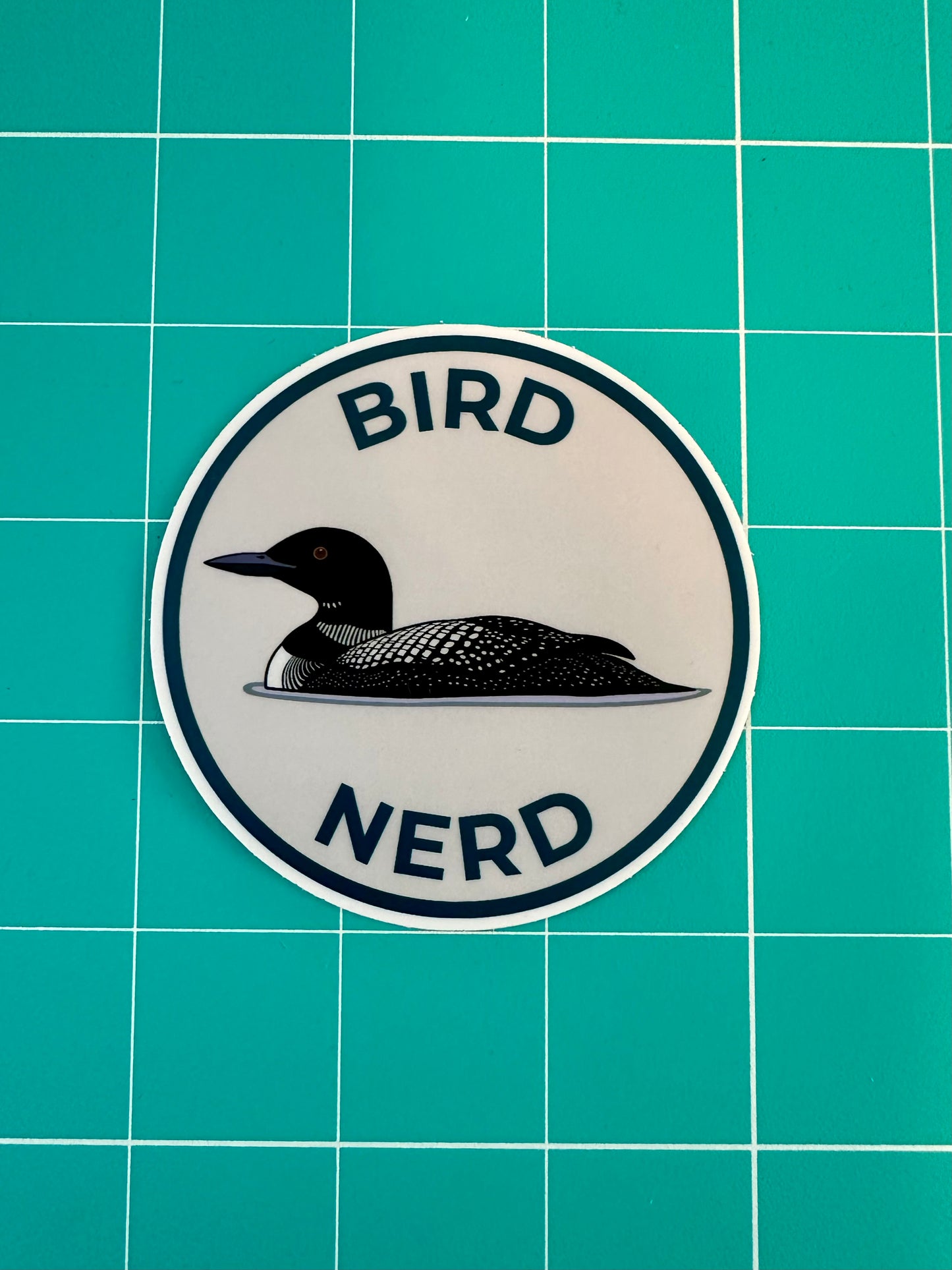 Bird Nerd Sticker - Common Loon Vinyl Decal