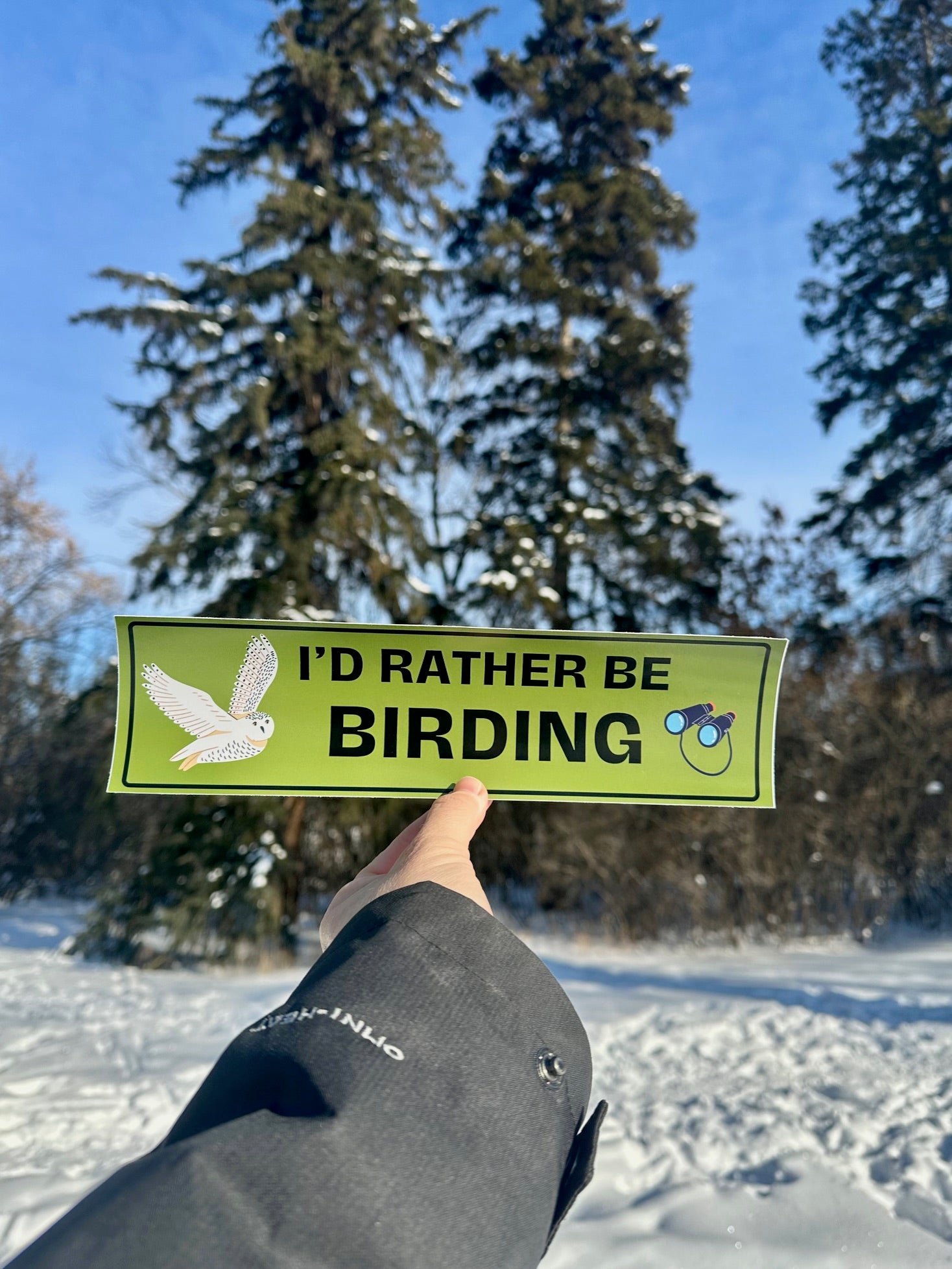 I'd Rather Be Birding Bumper Sticker image 0