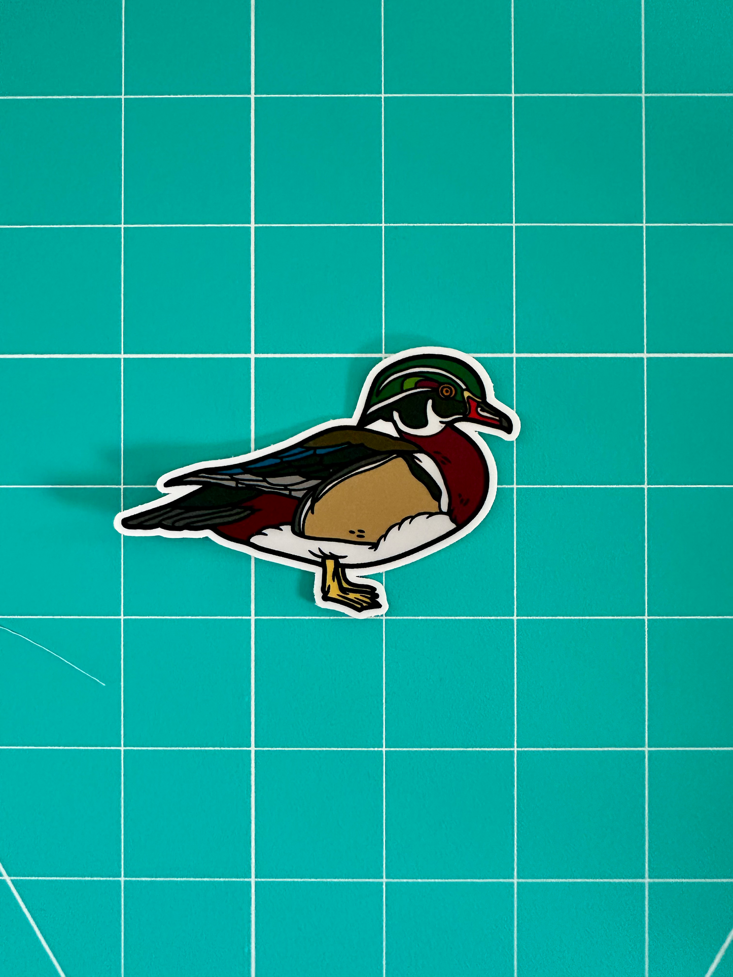 Wood Duck Sticker image 2