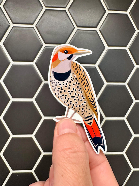 Northern Flicker Sticker image 0