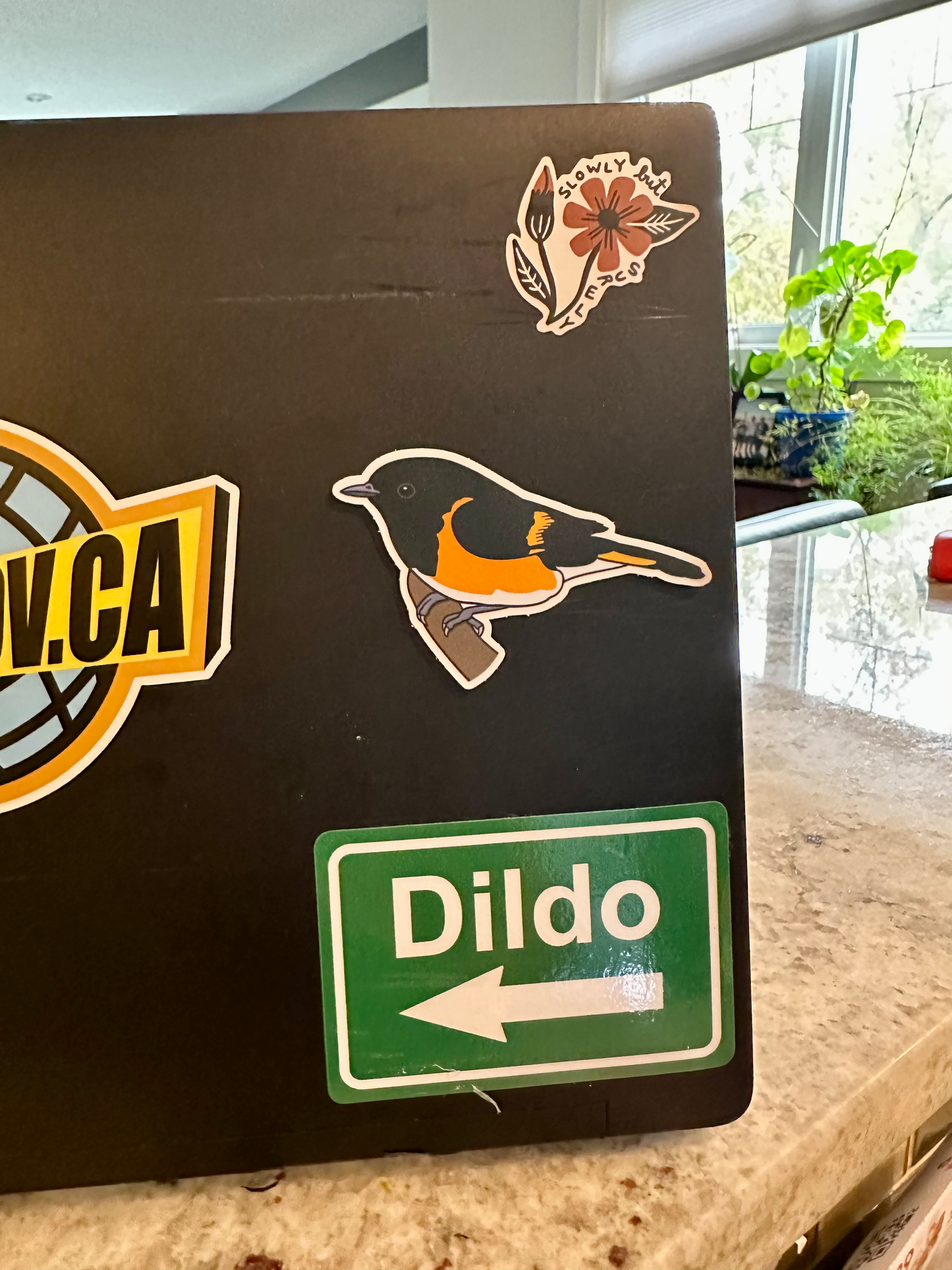 American Redstart Sticker image 1