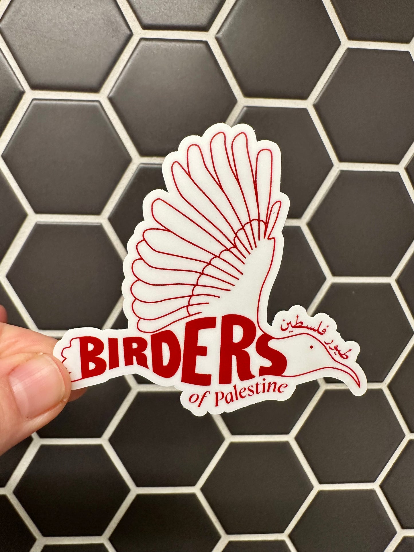 Birders of Palestine: Weatherproof Vinyl Decal