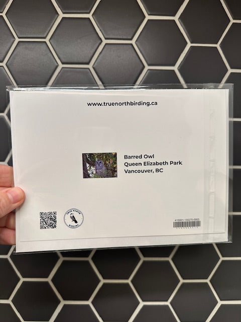 Back of art card with printed text and images on a black tiled background