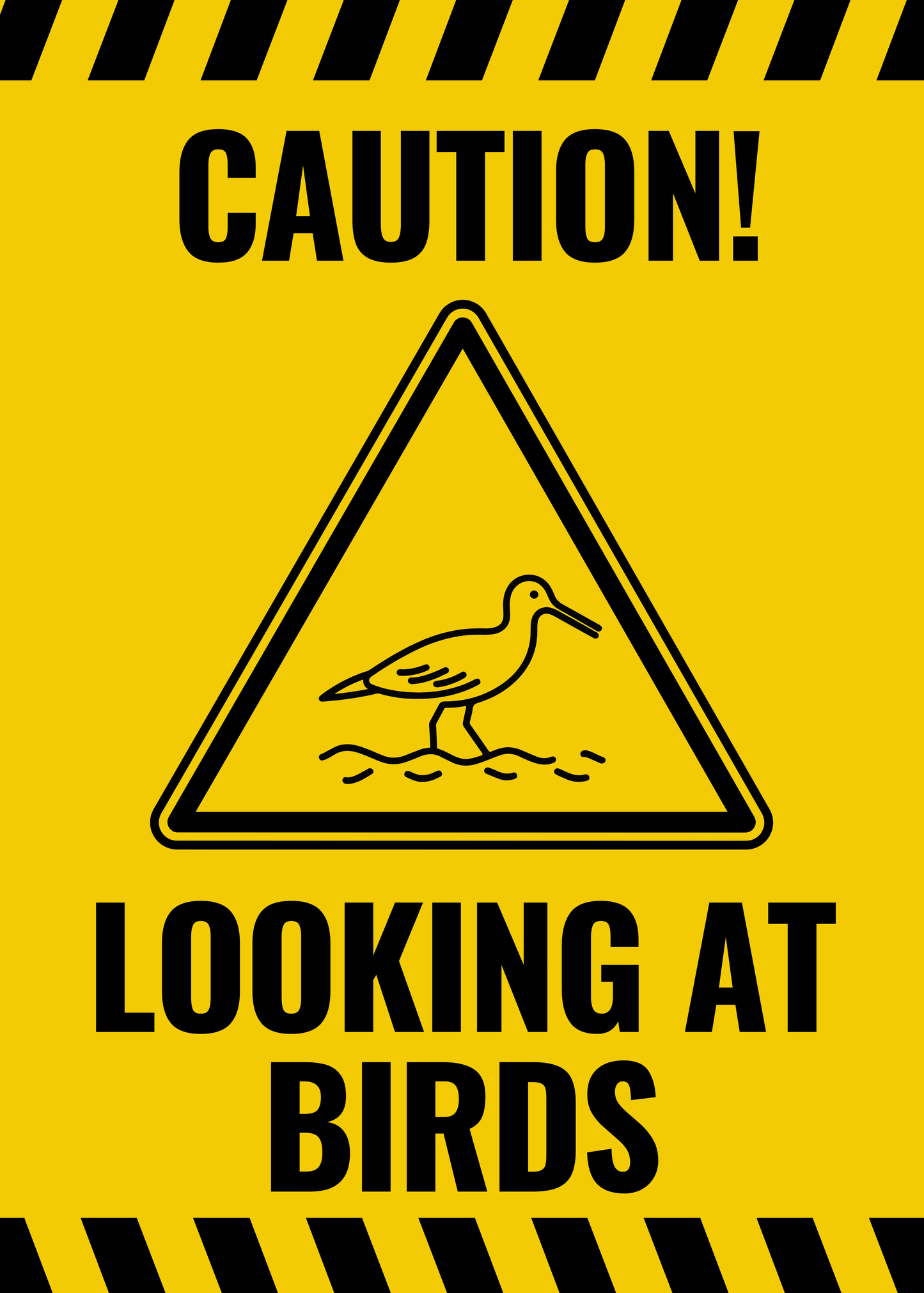 MAGNET! Caution Sign for Car While Bird Watching