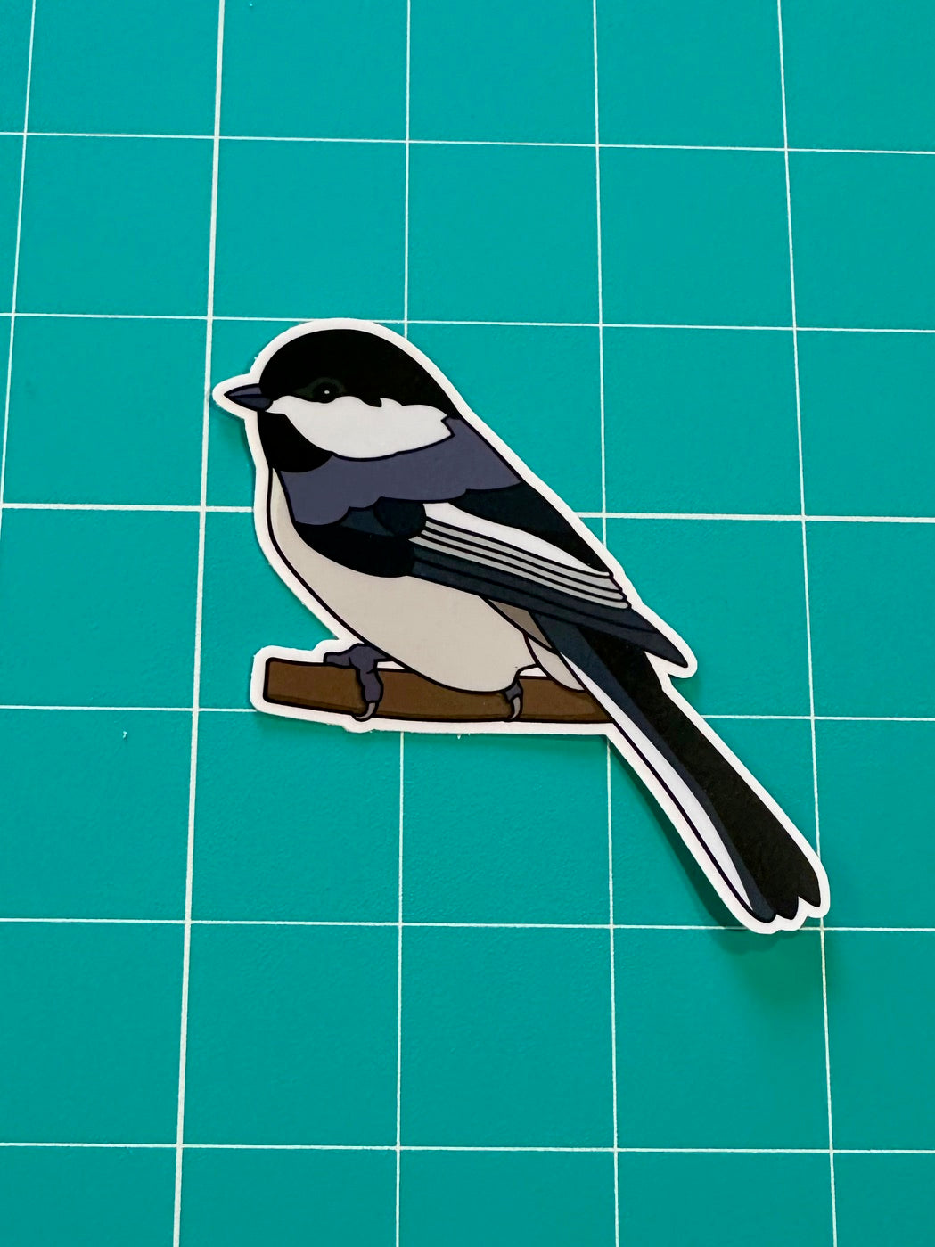 Black-capped Chickadee Sticker