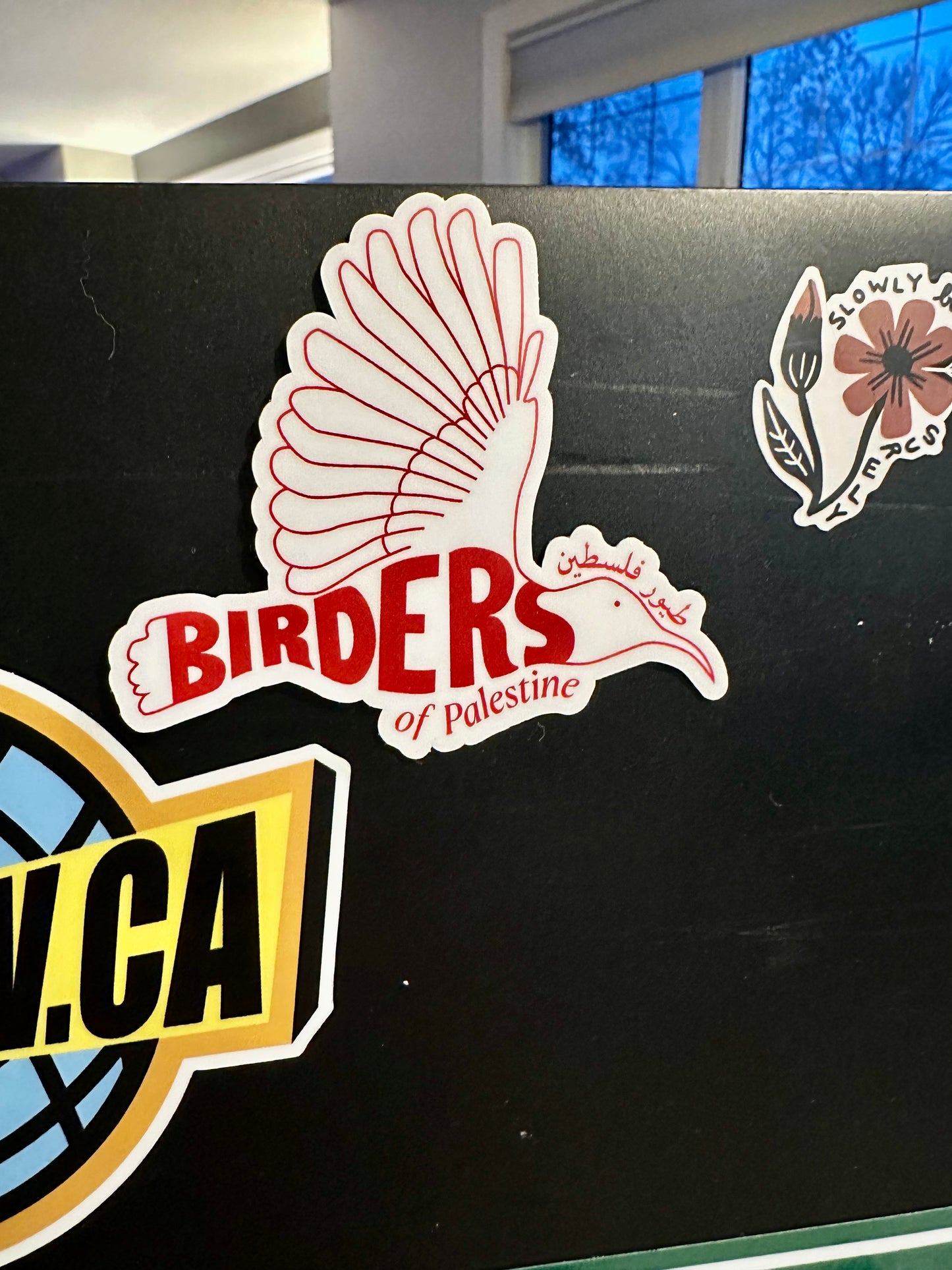 Birders of Palestine: Weatherproof Vinyl Decal