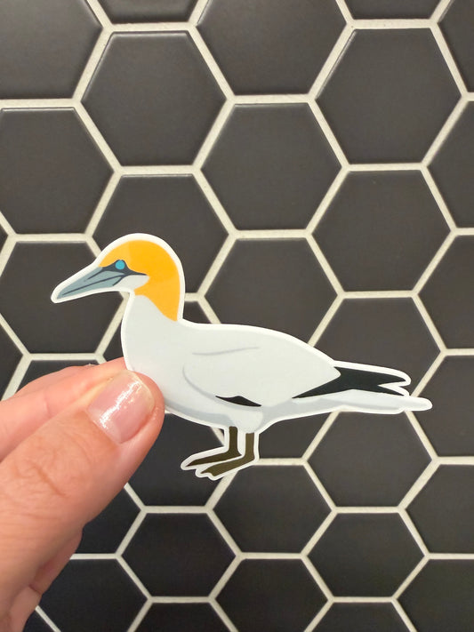 Northern Gannet Sticker: Waterproof Vinyl Bird Sticker