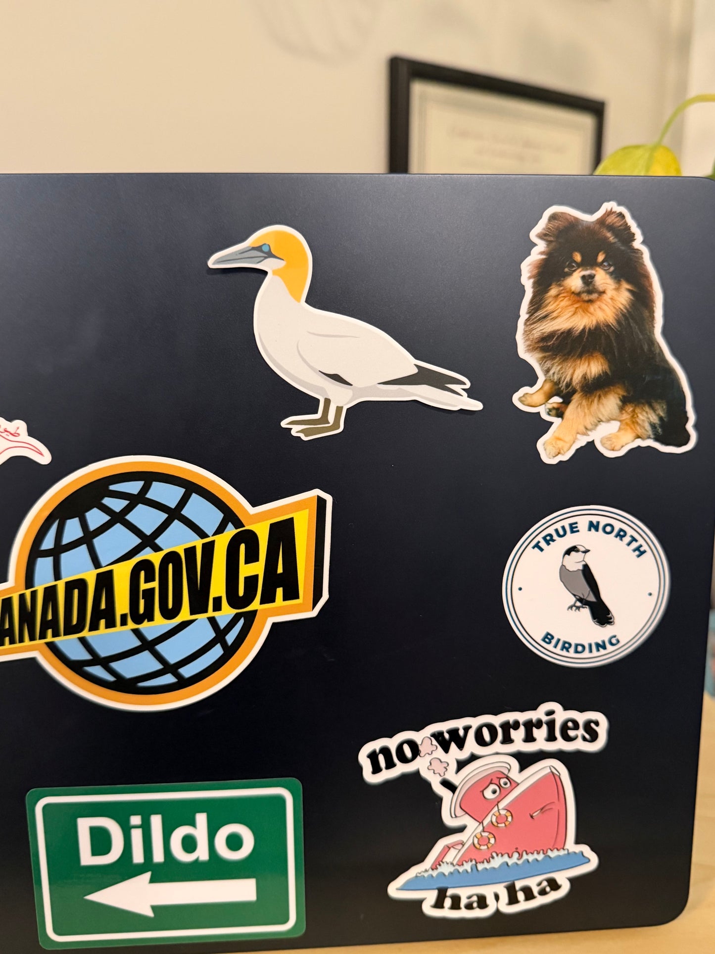 Northern Gannet Sticker: Waterproof Vinyl Bird Sticker