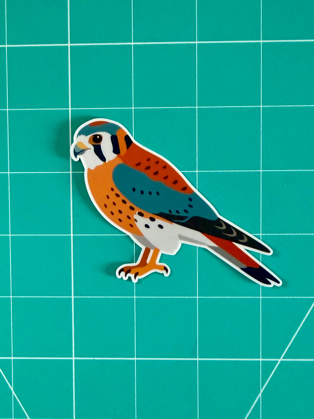American Kestrel Sticker: Waterproof Vinyl Bird Sticker