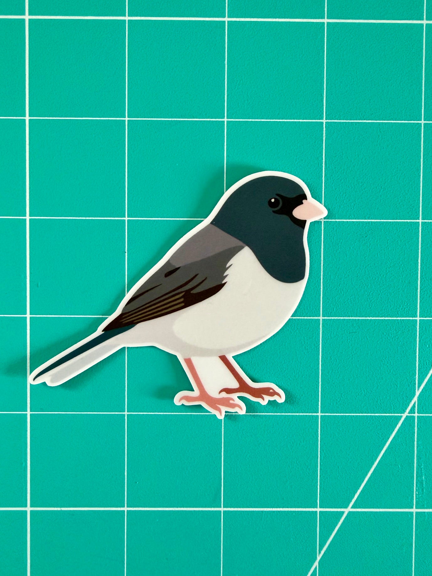 Dark-eyed Junco Sticker: Waterproof Vinyl Decal