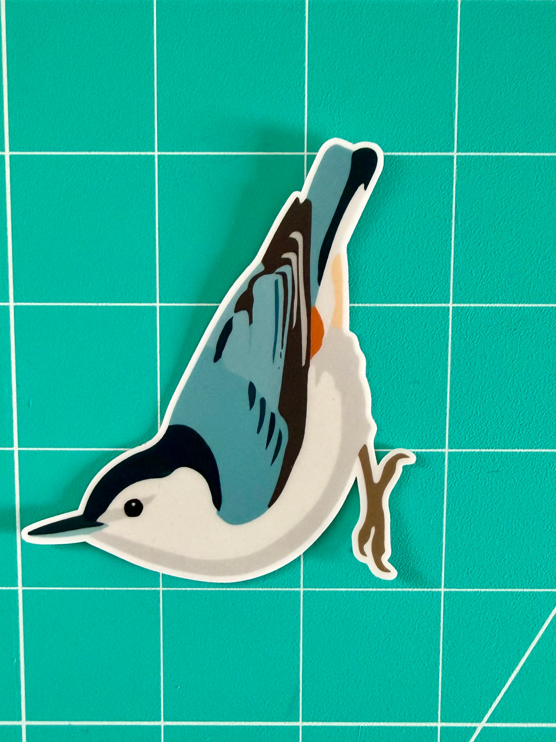 White-breasted Nuthatch Sticker: Waterproof Vinyl Decal