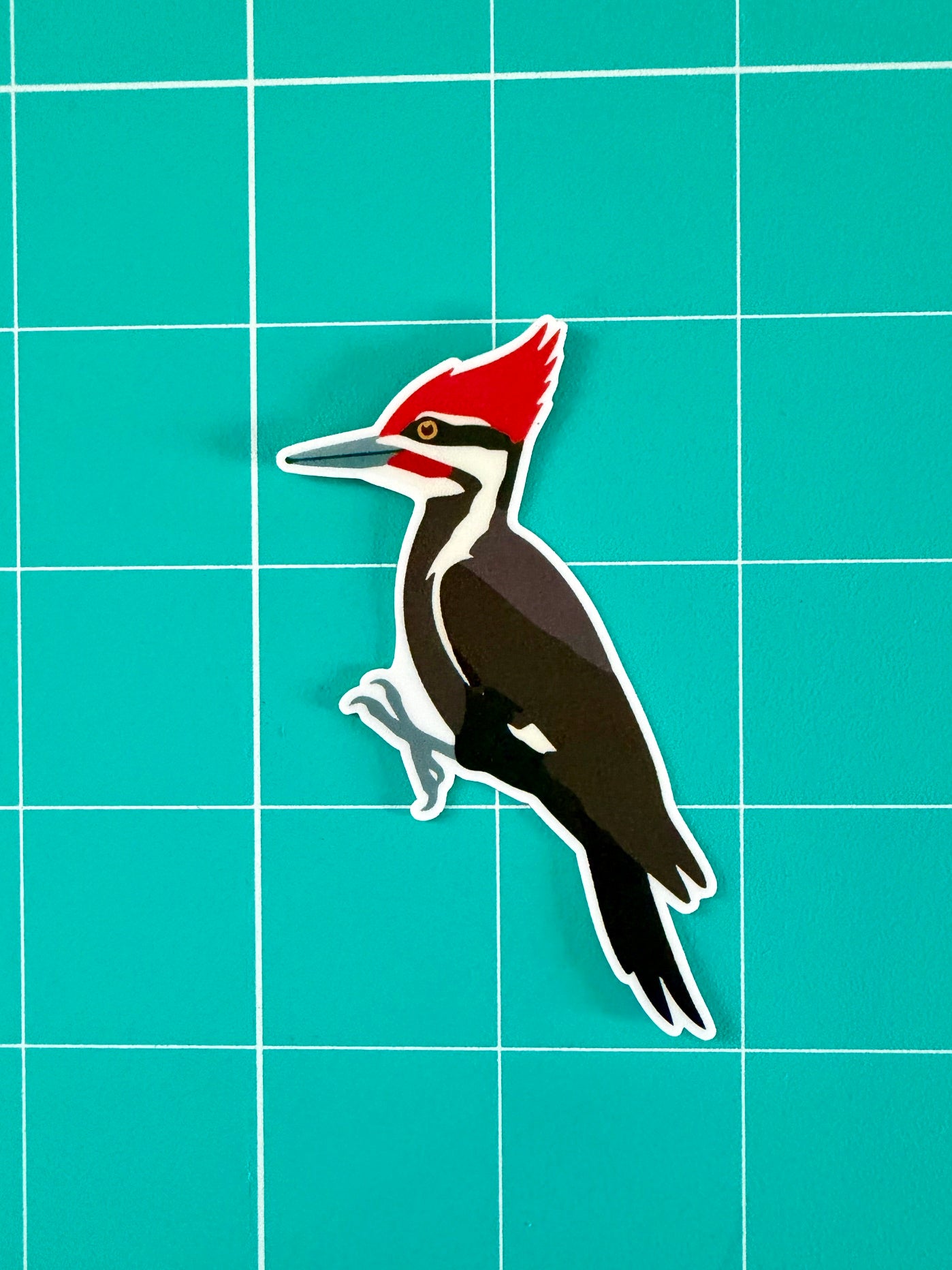 Pileated Woodpecker Sticker: Waterproof Vinyl Decal