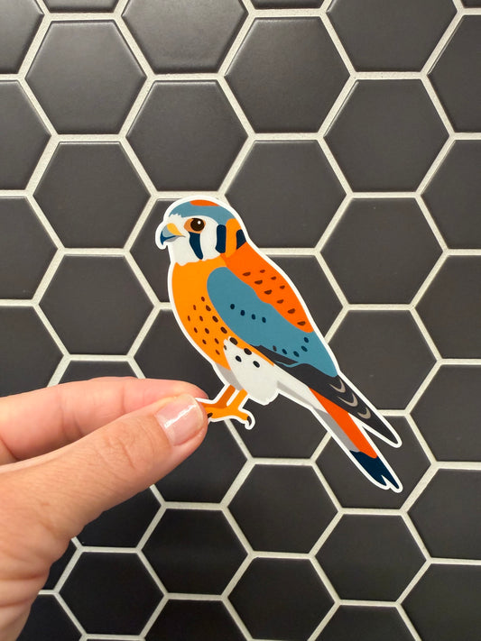 American Kestrel Sticker: Waterproof Vinyl Bird Sticker