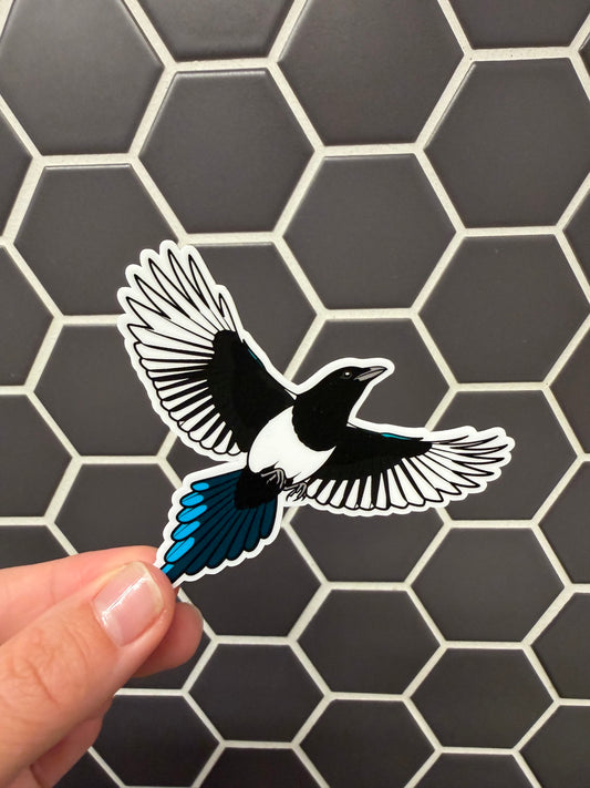 Black-billed Magpie Sticker: Waterproof Vinyl Decal
