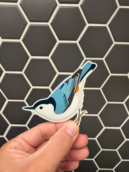 White-breasted Nuthatch Sticker: Waterproof Vinyl Decal