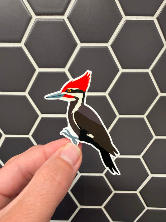 Pileated Woodpecker Sticker: Waterproof Vinyl Decal