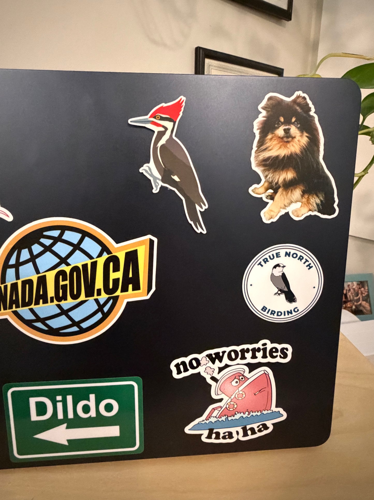 Pileated Woodpecker Sticker: Waterproof Vinyl Decal