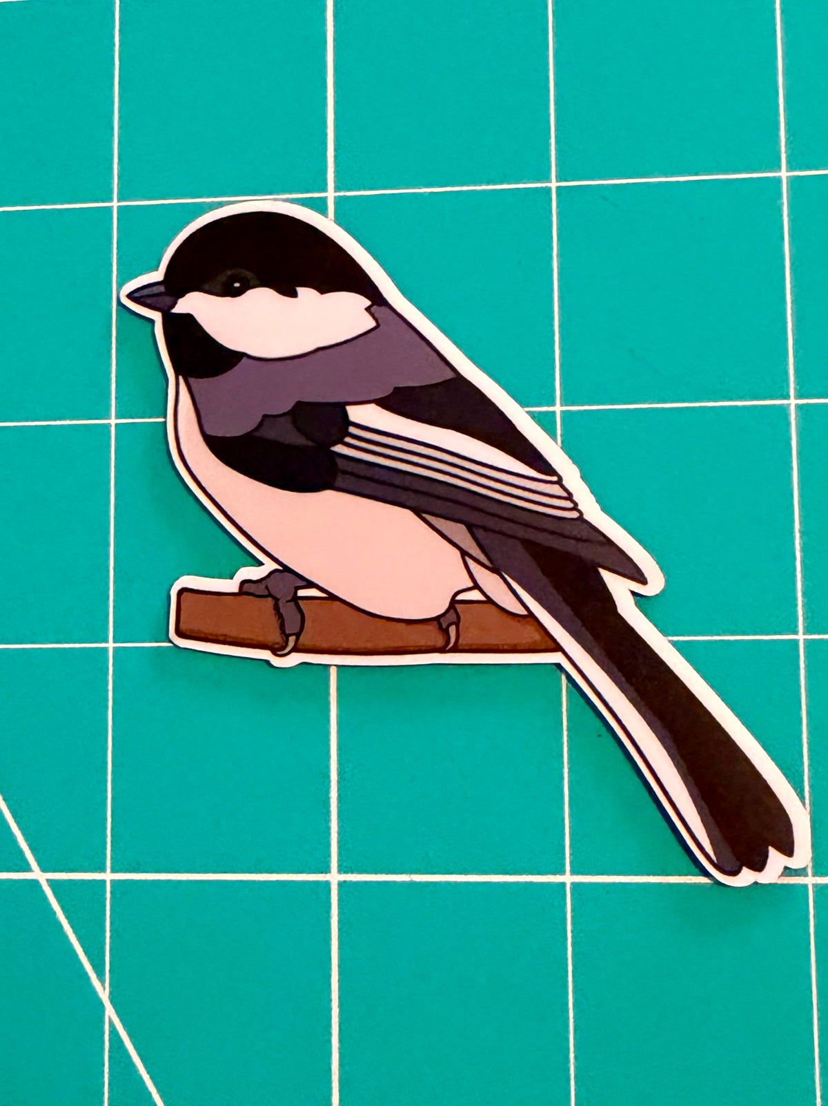 Magnet! Black-capped Chickadee Fridge Magnet